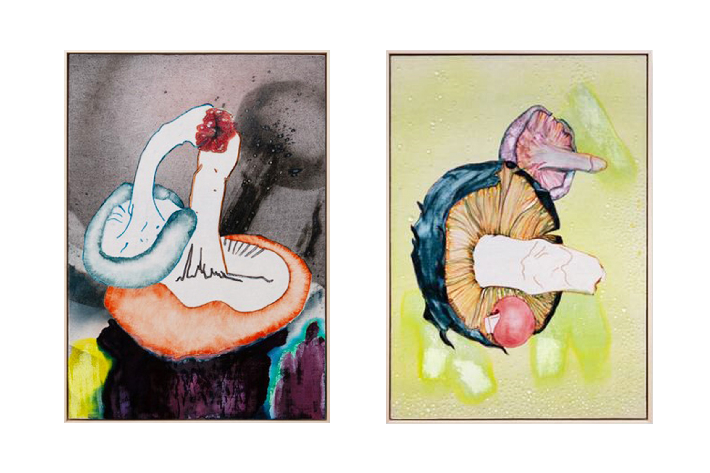 Side-by-side artworks depicting mushrooms.